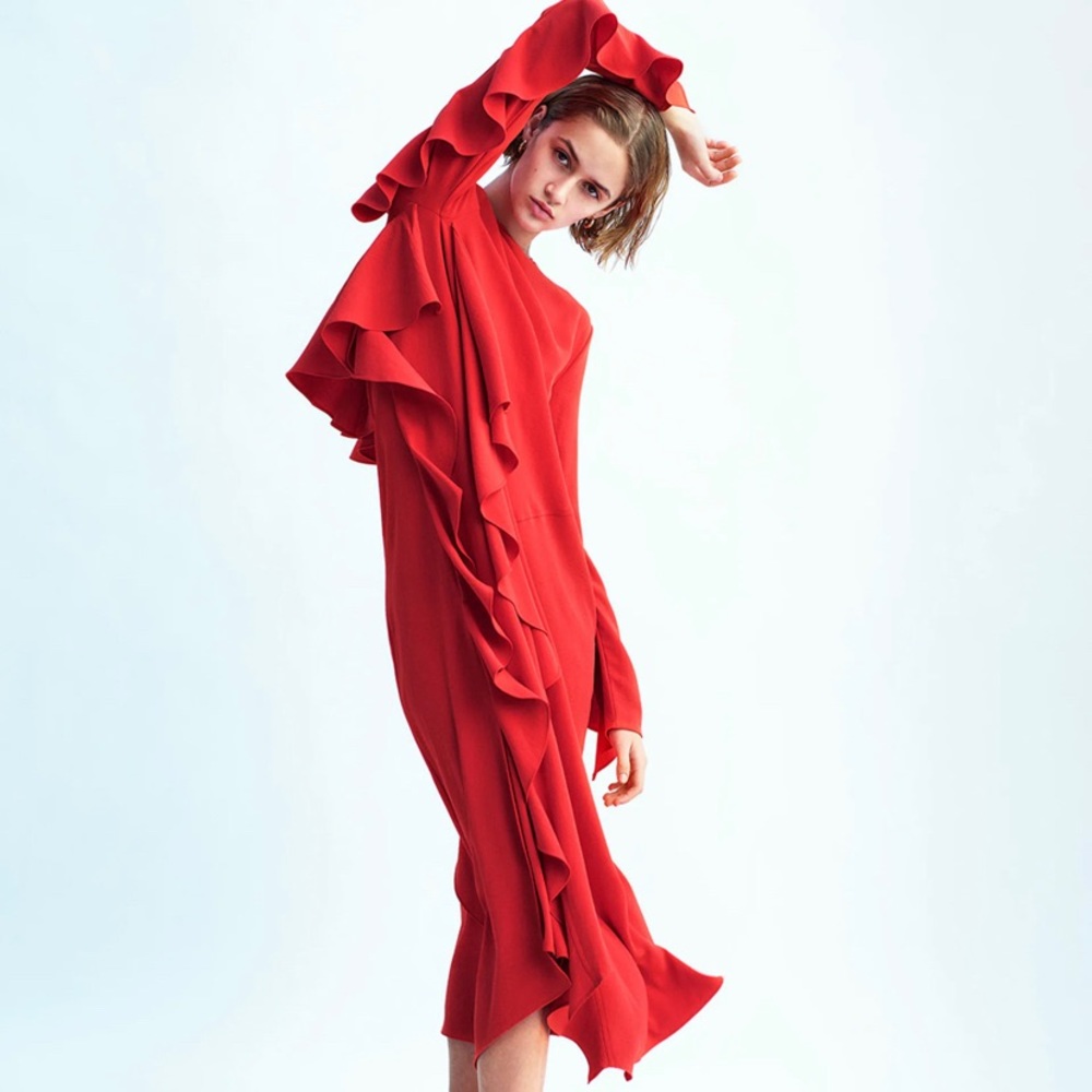 Zara flows ruffle dress nwt